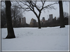 foto Central Park in Inverno